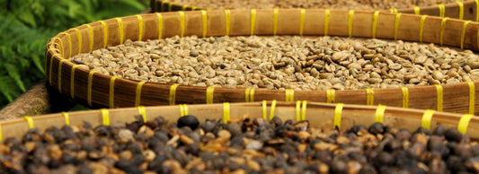 Bean of the Month: Sumatra Wahana | May 2022