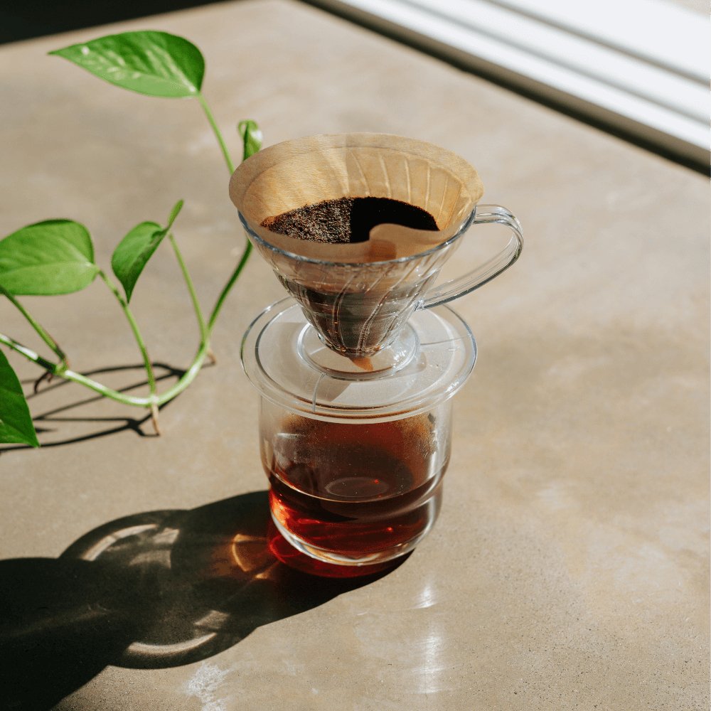 coffee aesthetic hario v60 plastic brewing coffee