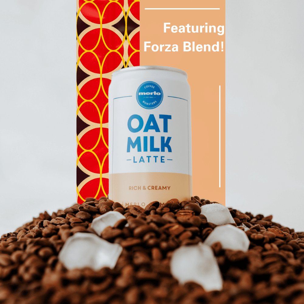 Merlo Oat Milk Latte forza beans